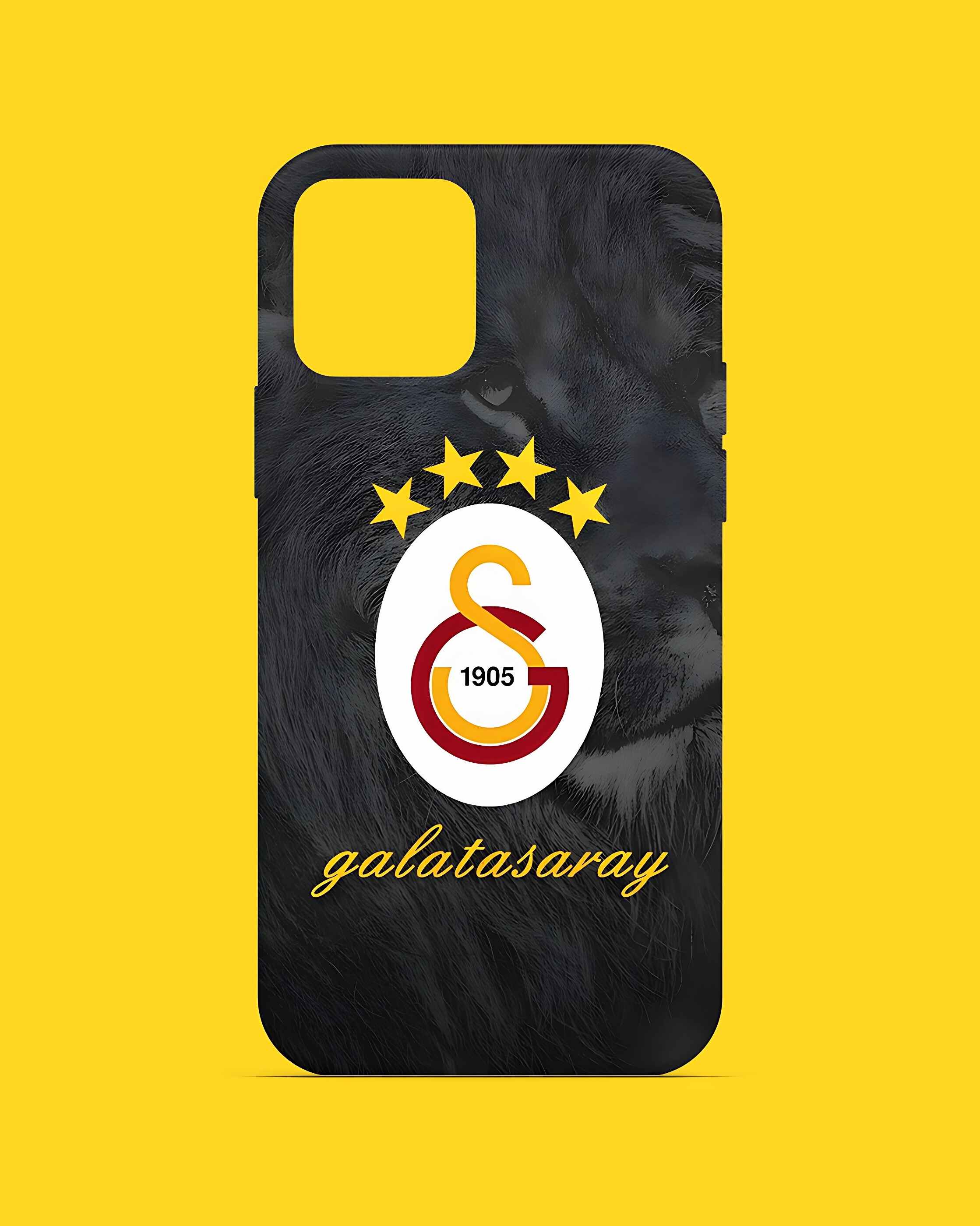 UltrAslan - Galatasaray