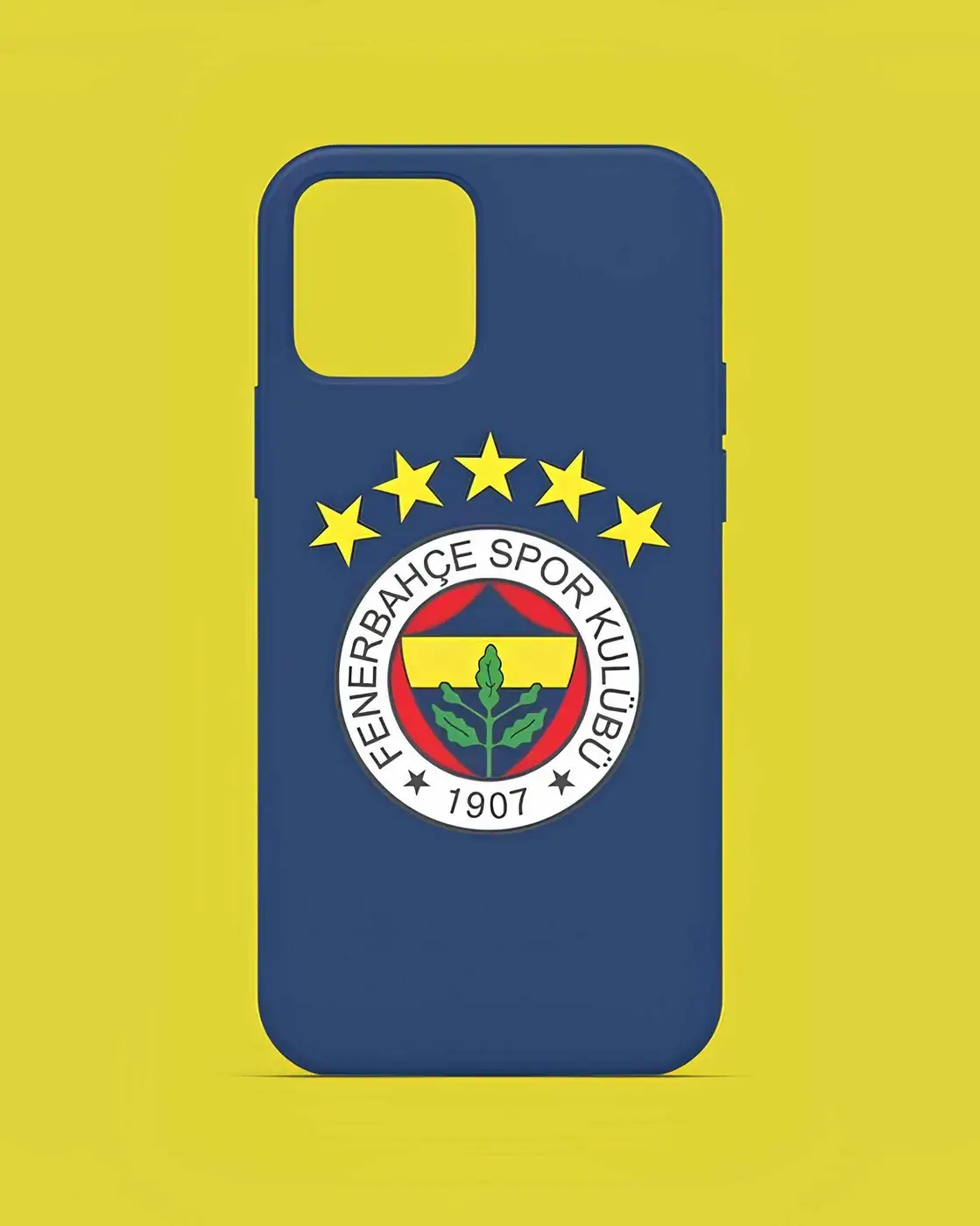 Fenerbahçe 5 Yıldız - 3