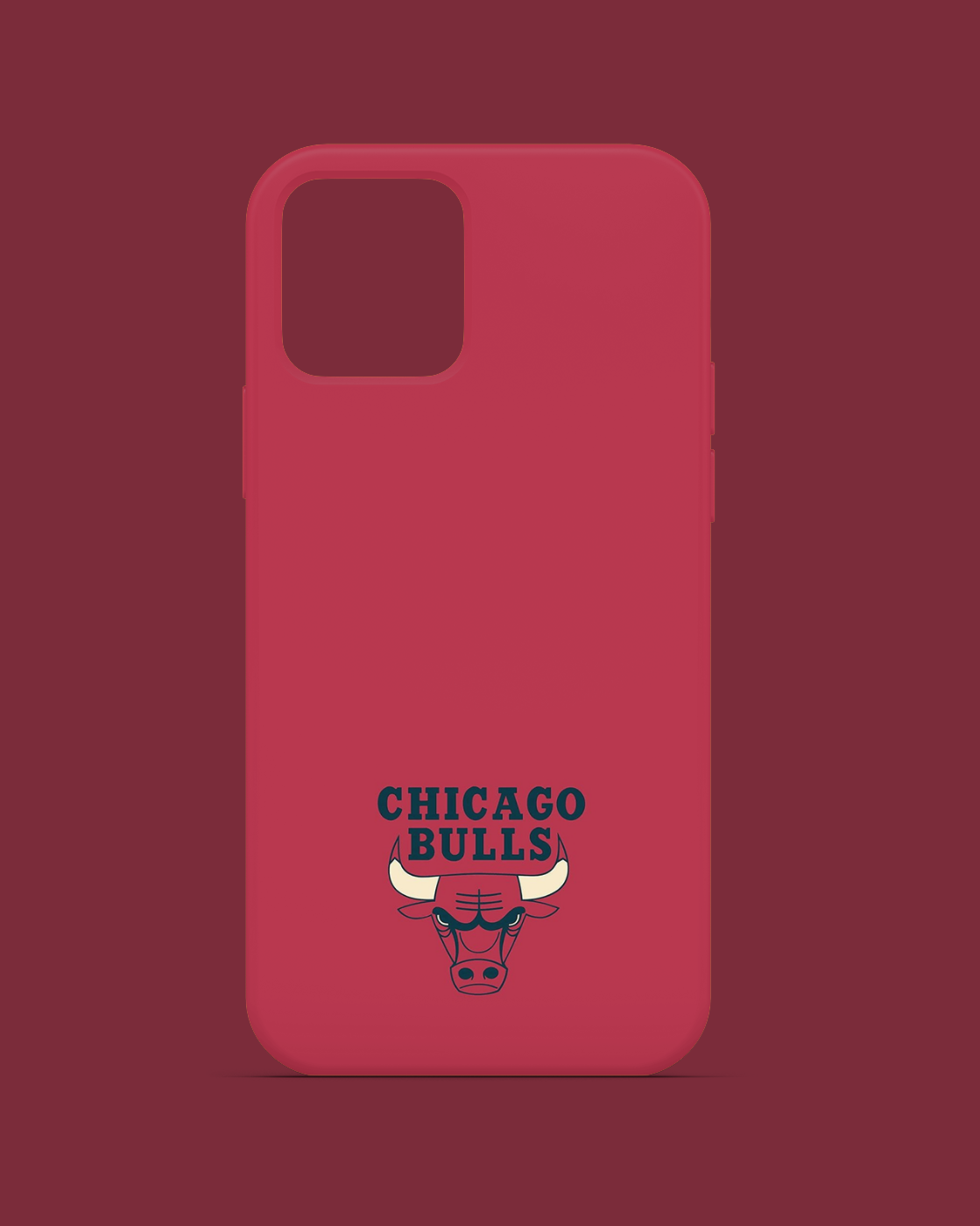 Chicago Bulls